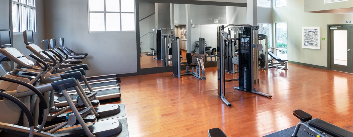 DogFriendly Apartments in San Jose, CA LINQ Amenities